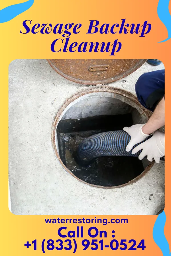 Sewage Backup Cleanup in University Heights, OH
