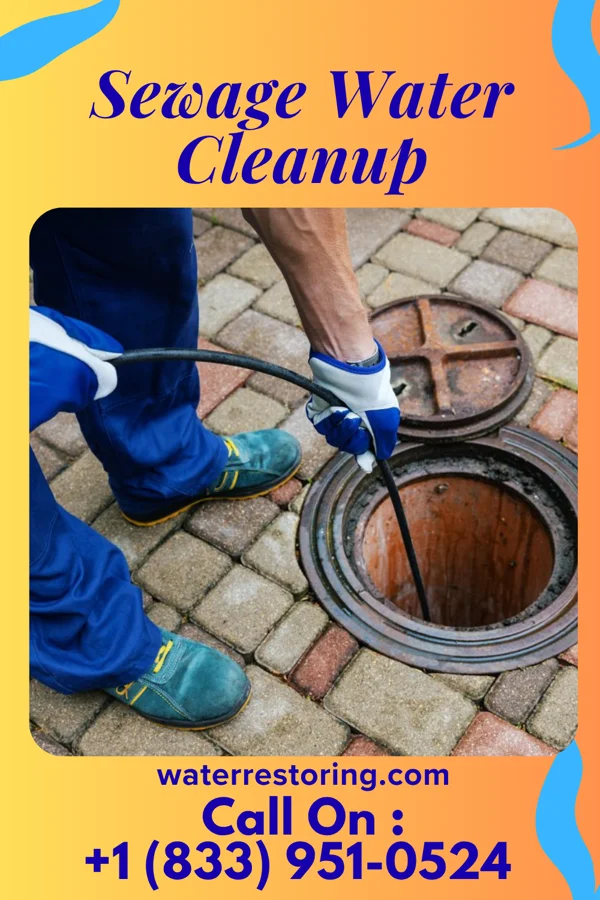 Sewage Water Cleanup in University Heights, OH