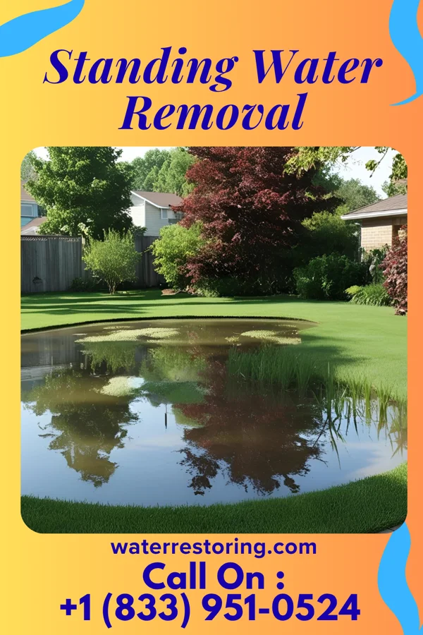 Standing Water Removal in University Heights, OH